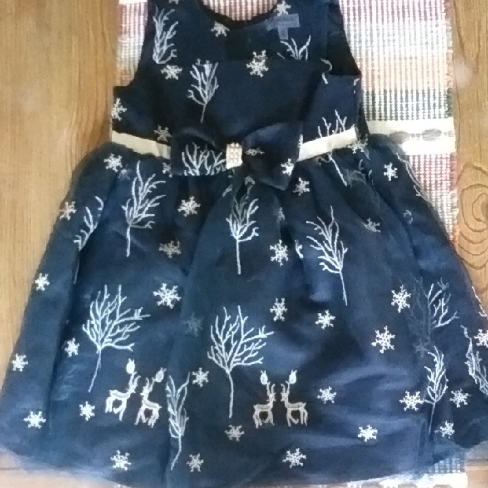 Stunning Girls Navy Embroidered Holiday Party Dress